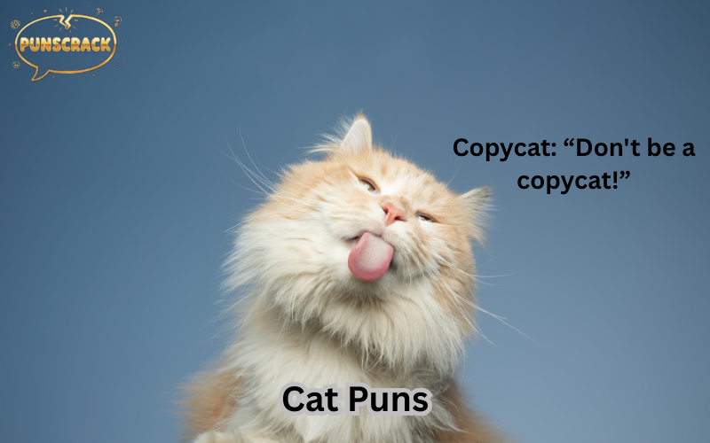 Cat Puns