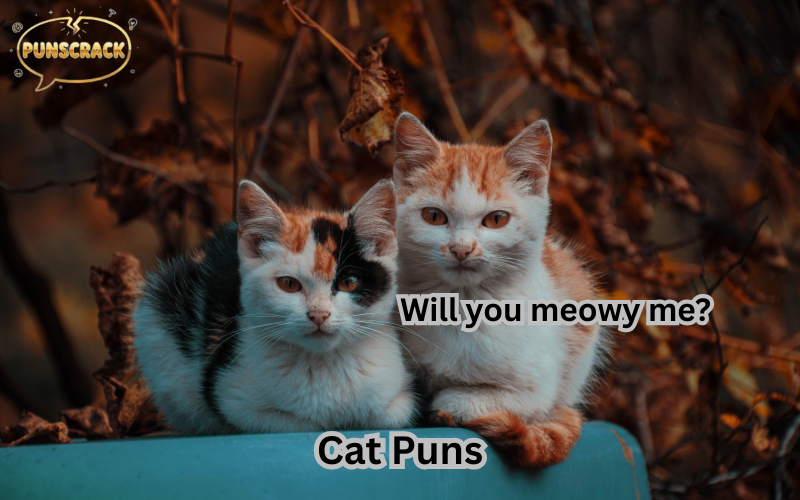 Cat Puns