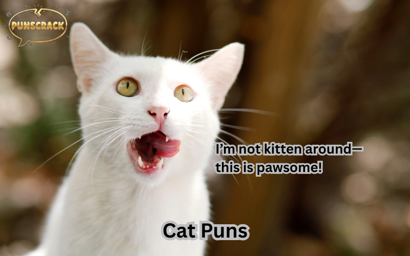 Cat Puns