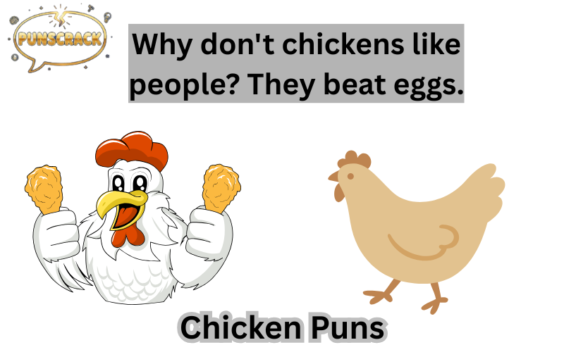 Chicken Puns
