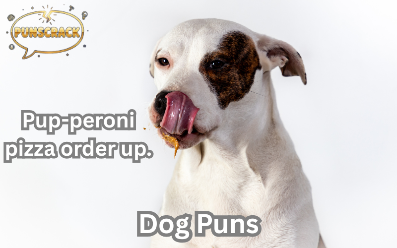 Dog Puns
