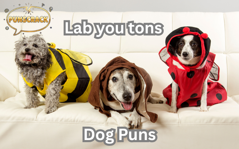 Dog Puns