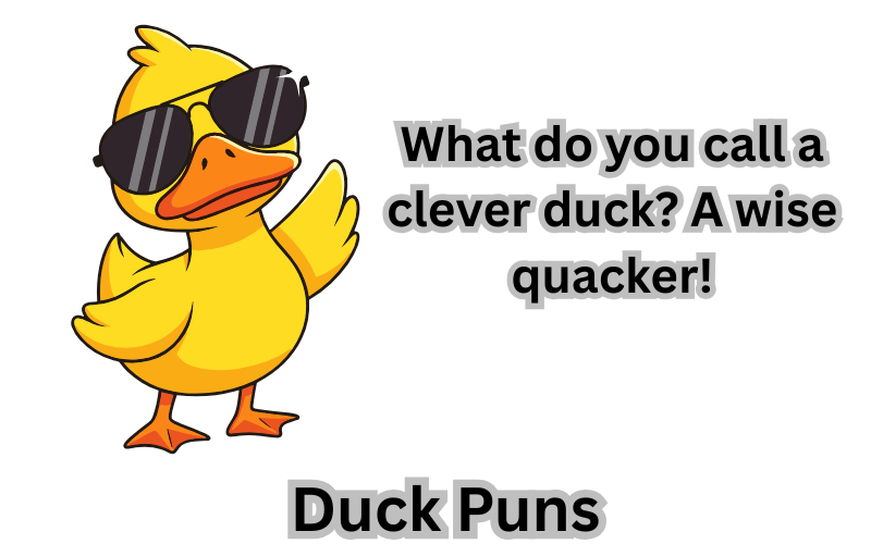 Duck Puns