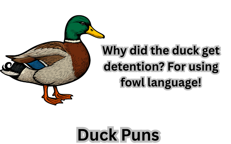 Duck Puns