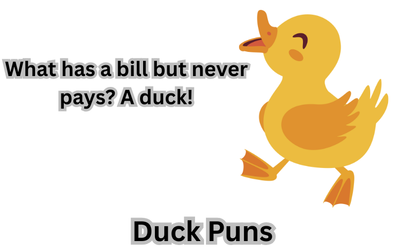 Duck Puns
