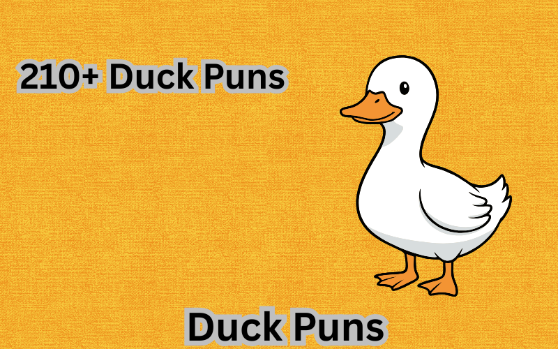 Duck Puns