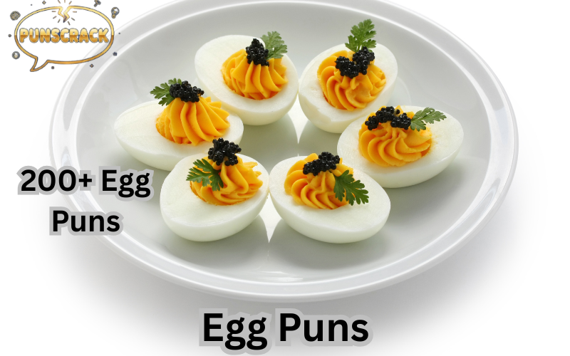 Egg Puns