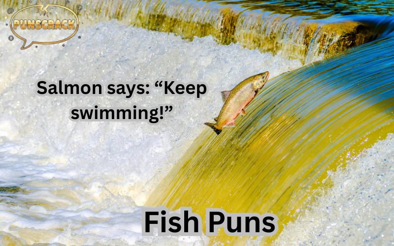 Fish Puns