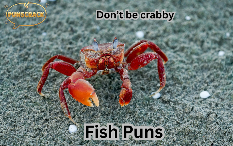 Fish Puns