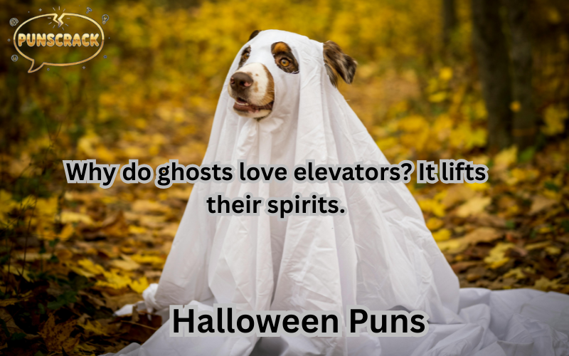 Halloween Puns