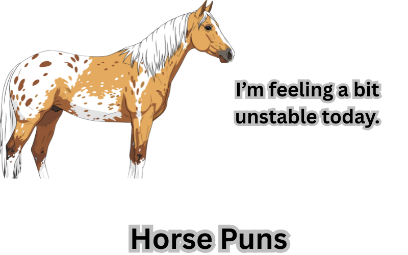 Horse Puns