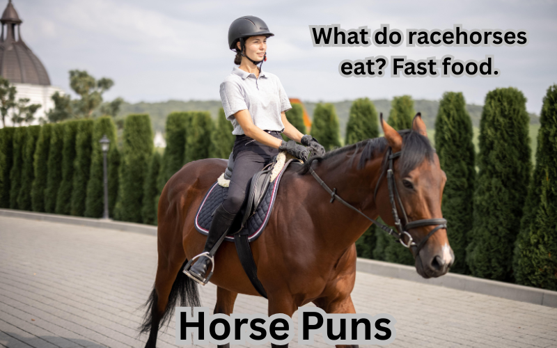 Horse Puns