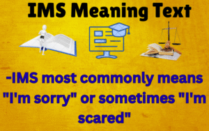 IMS Meaning Text