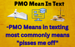 PMO Mean In Text