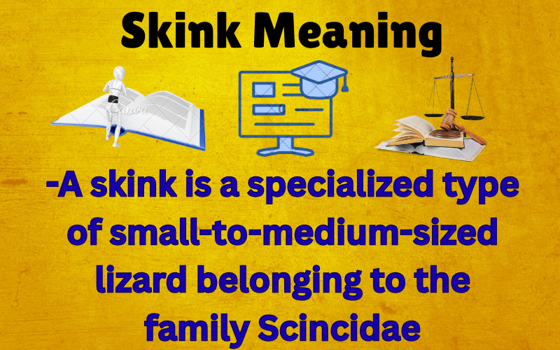Skink Meaning
