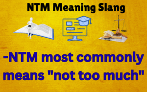 NTM Meaning Slang
