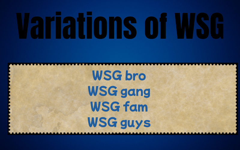 What Does WSG Mean